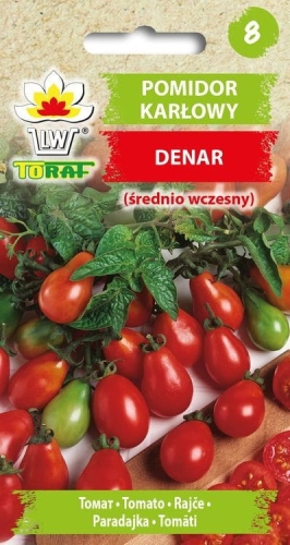 pomidor-denar-nasiona.jpg
