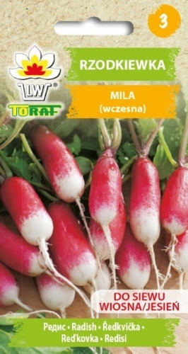 rzodkiewka-mila-nasiona.jpg