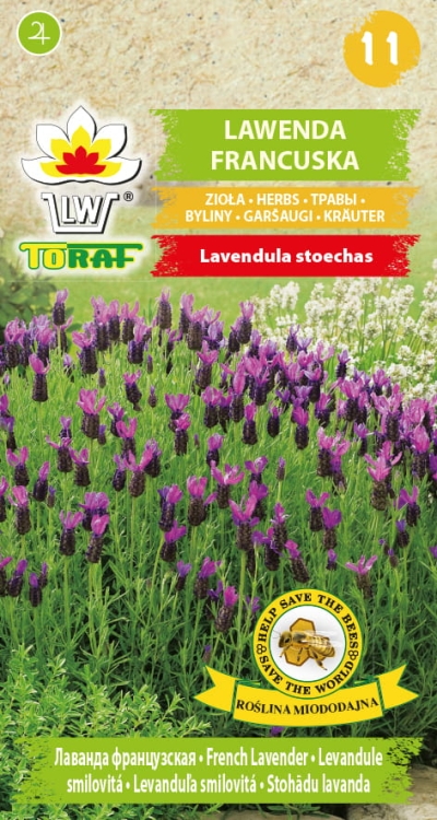 lawenda-francuska-nasiona.jpg