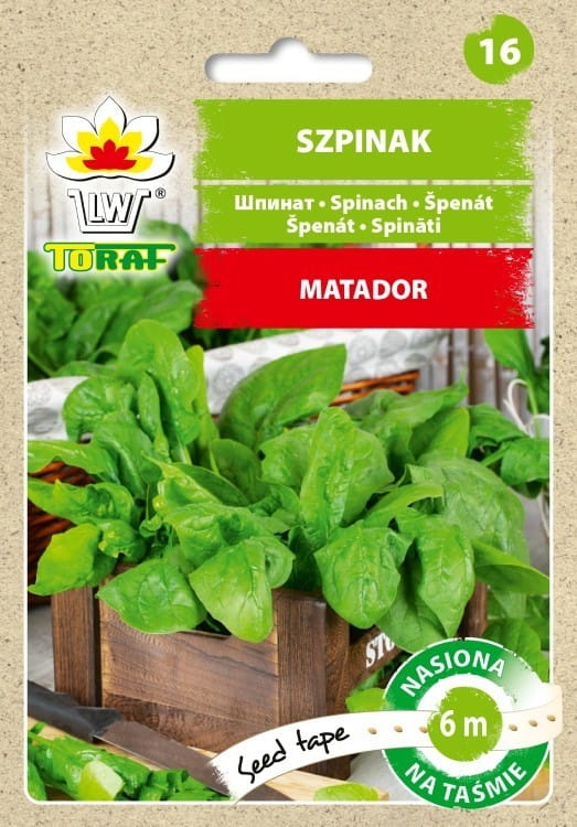 szpinak-matador-nasiona-tasma.jpg