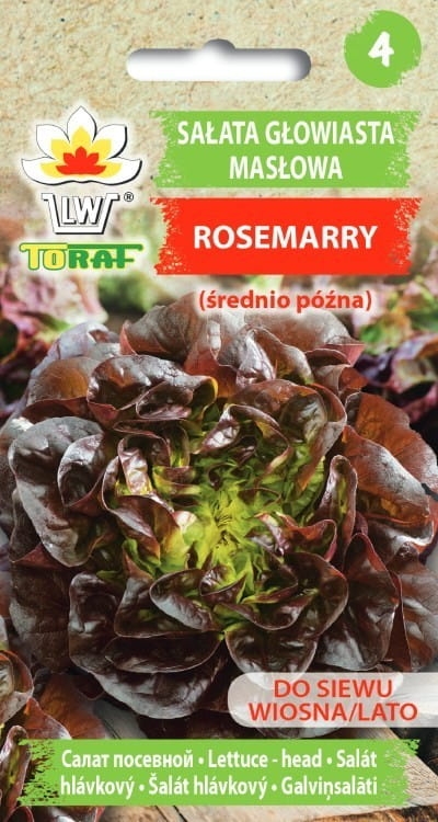 salata-glowiasta-maslowa-rosemarry-nasiona.jpg