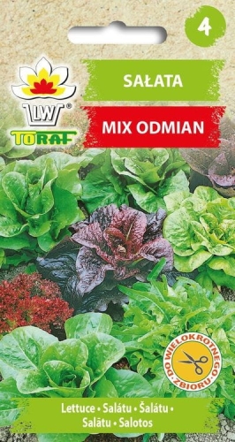 salata-mieszanka-odmian-nasiona.jpg