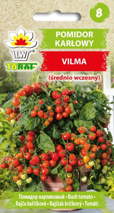 pomidor-karlowy-vilma-nasiona.jpg