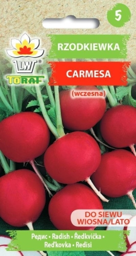 rzodkiewka-carmesa-nasiona.jpg