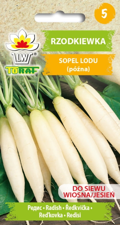 rzodkiewka-sopel-lodu-nasiona.jpg