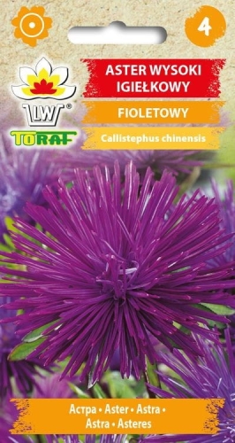 aster-igielkowy-fioletowy-nasiona.jpg