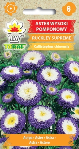 aster-pomponowy-ruckley-supreme-nasiona.jpg