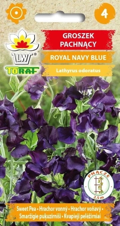 groszek-pachnacy-royal-navy-blue-nasiona.jpg