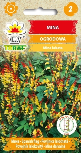 mina-ogrodowa-nasiona.jpg