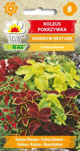koleus-pokrzywka-rainbow-mixture-nasiona.jpg
