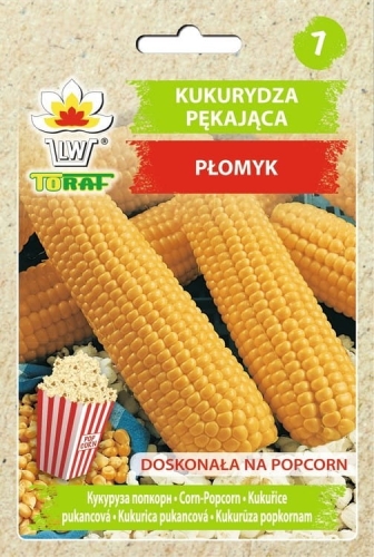 kukurydza-pekajaca-plomyk-nasiona.jpg