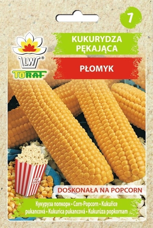 kukurydza-pekajaca-plomyk-nasiona.jpg