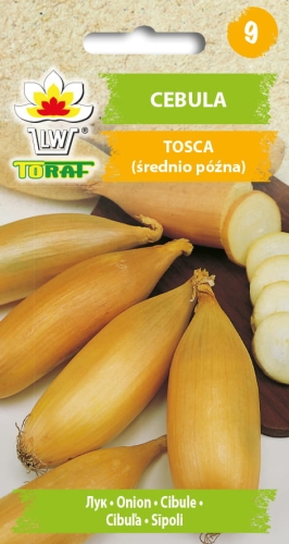 cebula-podluzna-tosca-nasiona.jpg
