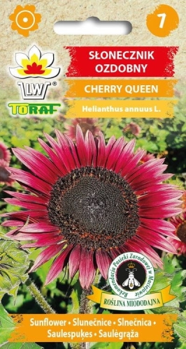 slonecznik-ozdobny-cherry-queen-nasiona.jpg