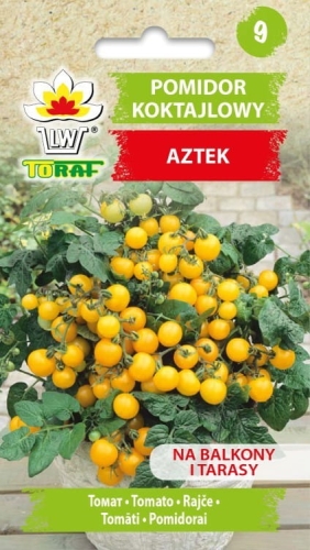 pomidor-koktajlowy-aztek-nasiona.jpg