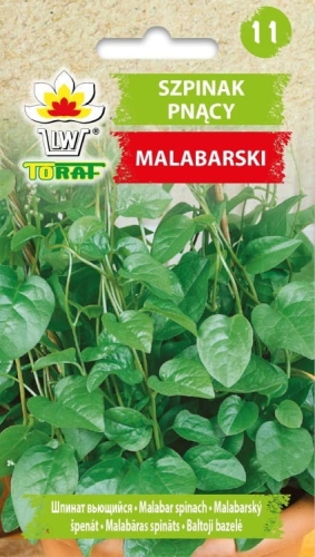 szpinak-malabarski-pnacy-nasiona.jpg