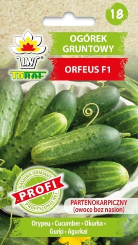 ogorek-partenokarpiczny-orfeus-nasiona.jpg