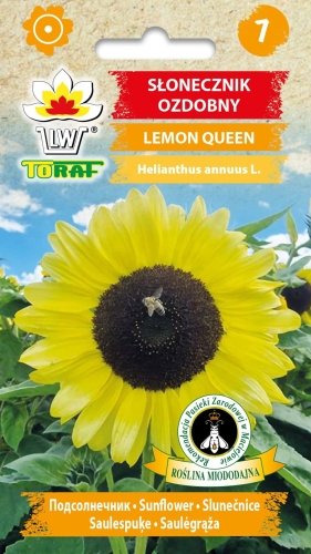 slonecznik-ozdobny-lemon-queen-nasiona.jpg
