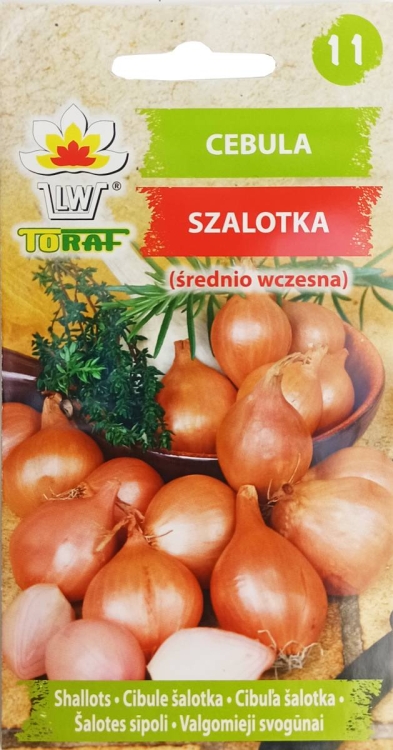 cebula-szalotka-nasiona.jpg
