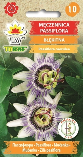 meczennica-passiflora-nasiona.jpg