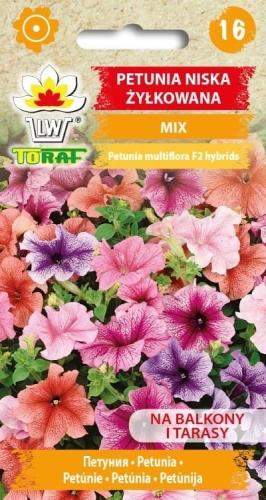 petunia-zylkowana-mieszanka-nasiona.jpg