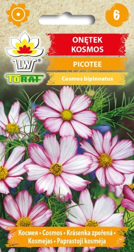 onetek-picotee-nasiona.jpg