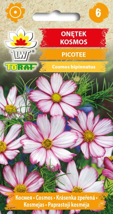 onetek-picotee-nasiona.jpg