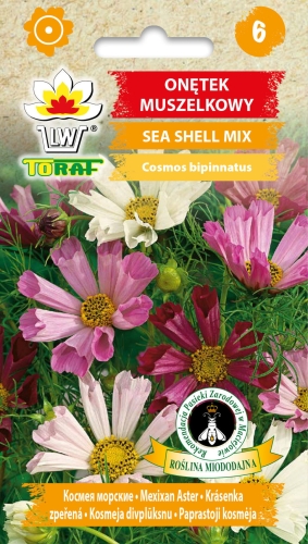 onetek-muszelkowy-sea-shell-nasiona-kwiatow,.jpg