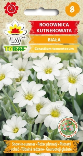 rogownica-kutnerowata-biala-nasiona.jpg