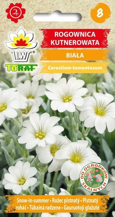 rogownica-kutnerowata-biala-nasiona.jpg