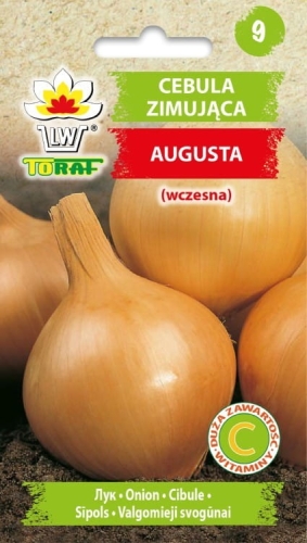 cebula-zimujaca-augusta-nasiona.jpg