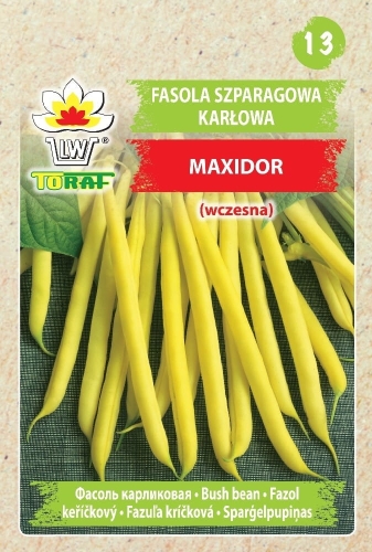fasola-szparagowa-karlowa-maxidor-nasiona.jpg