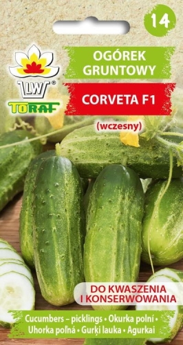 ogorek-corveta-nasiona.jpg