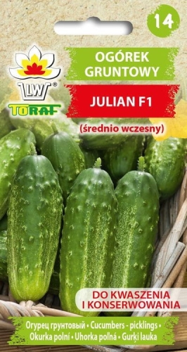 ogorek-julian-nasiona.jpg