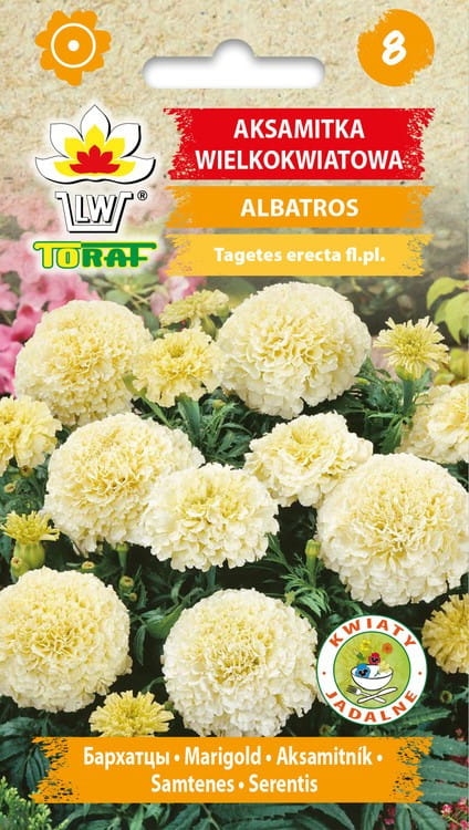 aksamitka-albatros-nasiona.jpg