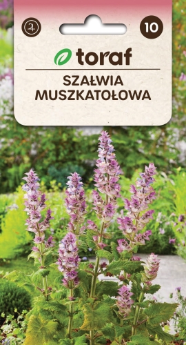 szalwia-muszkatolowa-nasiona.jpg