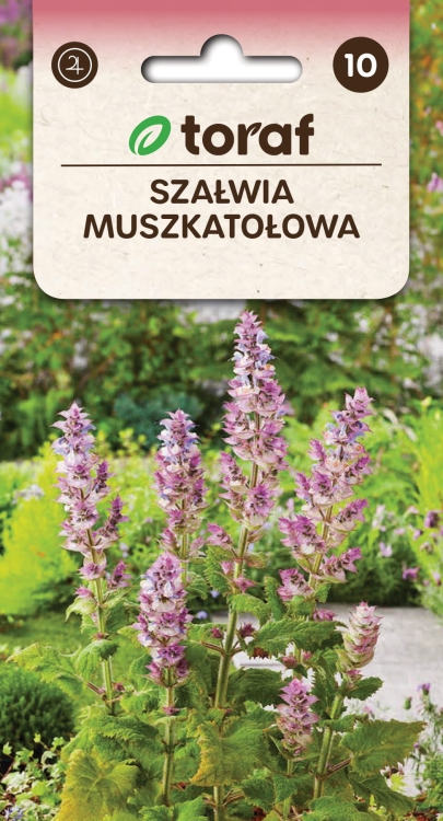 szalwia-muszkatolowa-nasiona.jpg