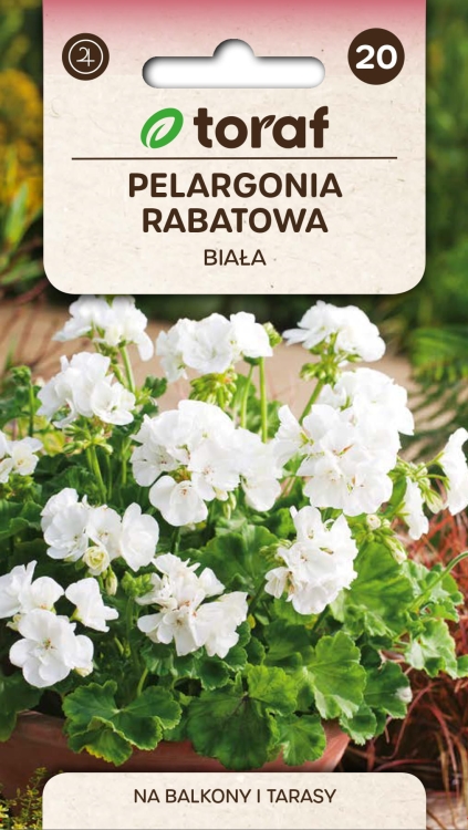 pelargonia-rabatowa-biala-nasiona.jpg
