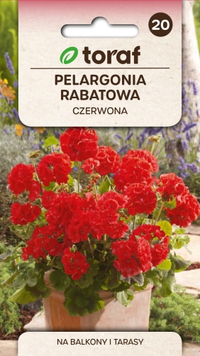 pelargonia-rabatowa-czerwona-nasiona.jpg