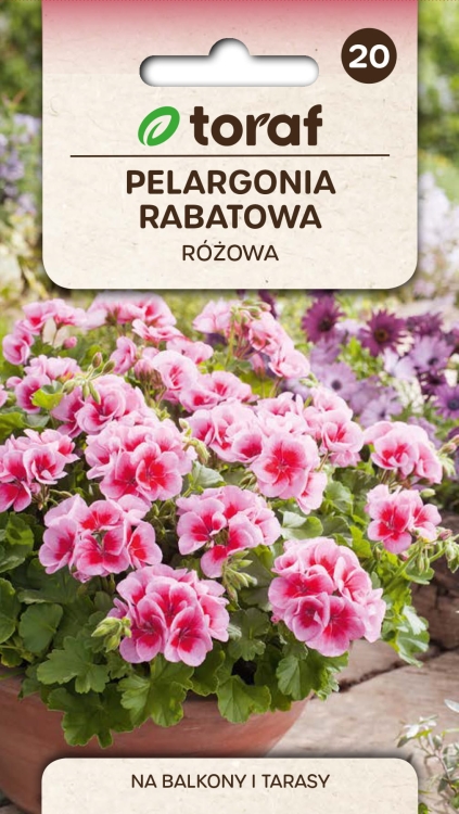 pelargonia-rabatowa-rozowa-nasiona.jpg