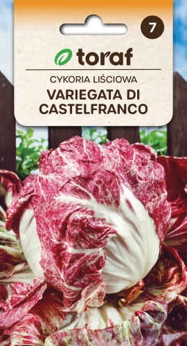cykoria-lisciowa-variegata-di-castelfranco-nasiona-5g.jpg