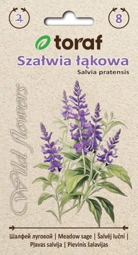szalwia-lakowa-nasiona.jpg