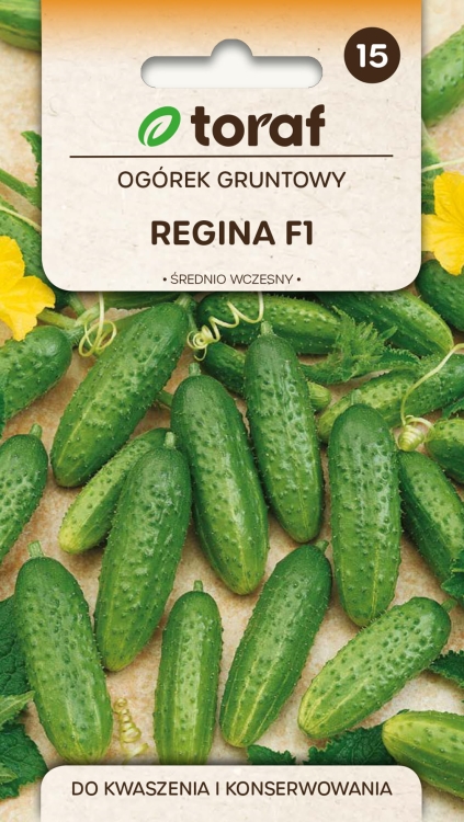 ogorek-regina-nasiona-5g.jpg