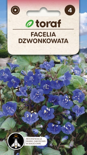 facelia-dzwonkowata-nasiona.jpg