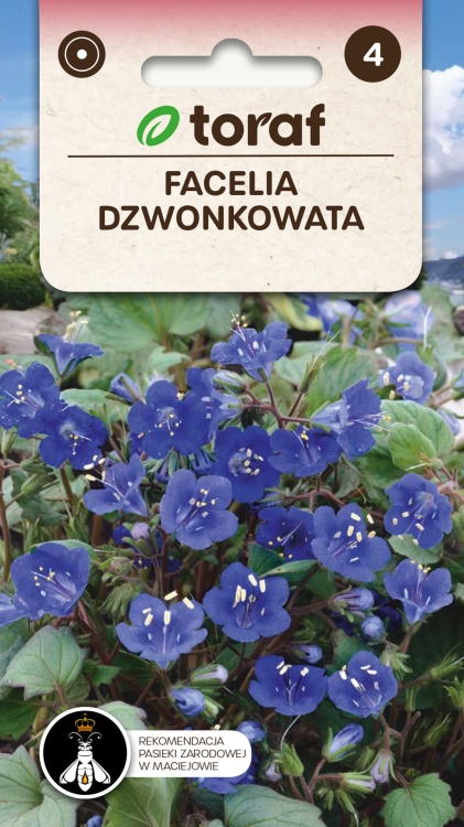 facelia-dzwonkowata-nasiona.jpg