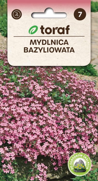 mydlnica-bazyliowata-nasiona.jpg