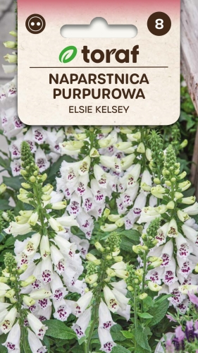 naparstnica-elsie-kelsey-nasiona.jpg