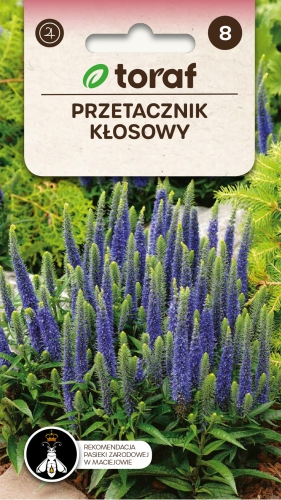 przetacznik-klosowy-nasiona.jpg