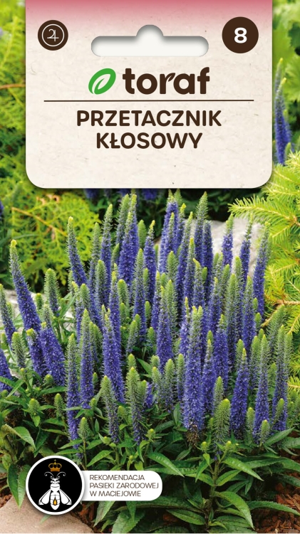 przetacznik-klosowy-nasiona.jpg