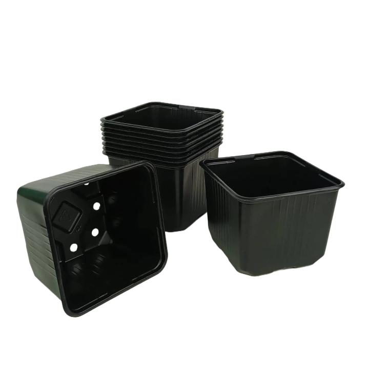 doniczki-11cm-czarne.jpg